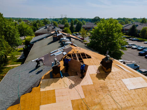 Quick and Trustworthy Emergency Roof Repair Services in Forty Fort, PA