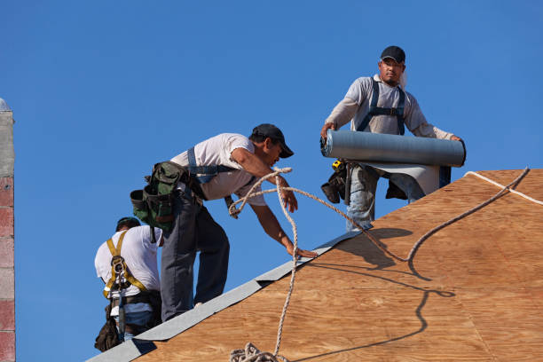 Professional Roofing Contractor in Forty Fort, PA