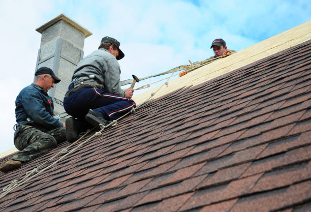 Professional Roofing Contractor in Forty Fort, PA